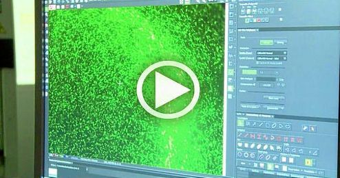 La bioimpresión, ¿futuro de la regeneración de la piel? La bioimpresión, ¿futuro de la regeneración de la piel?