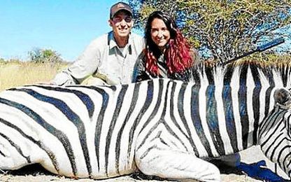 Jaycee Carrol y su esposa, Baylee, posando junto a un cebra muerta en Botsuana. Jaycee Carrol y su esposa, Baylee, posando junto a un cebra muerta en Botsuana.