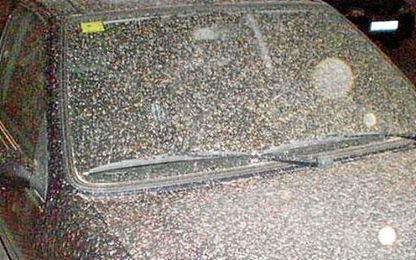 La lluvia de barro ensucia los coches de la capital hispalense. La lluvia de barro ensucia los coches de la capital hispalense.