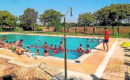 Los cursos de natación se abren paso en Guillena. Los cursos de natación se abren paso en Guillena.