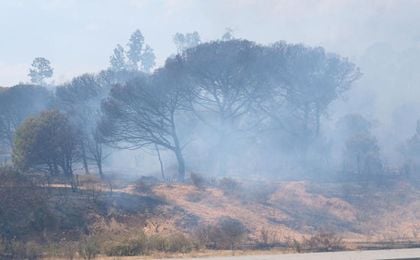 El área del Parque Natural se ha visto seriamente afectada. El área del Parque Natural se ha visto seriamente afectada.