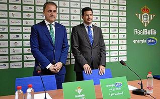 El Betis, resignado: "La única obsesión es volver a la ACB"