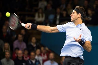 Del Potro remonta a Verdasco y jugará la final con Dimitrov Del Potro remonta a Verdasco y jugará la final con Dimitrov