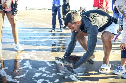 Carlos Tevez reinsertó en el mar argentino una tortuga marina rescatada Carlos Tevez reinsertó en el mar argentino una tortuga marina rescatada
