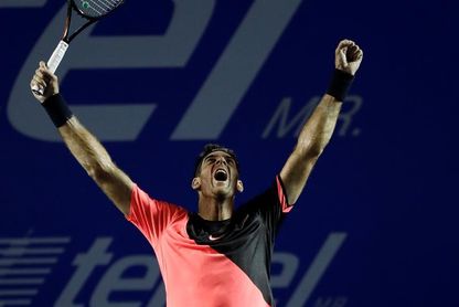 Del Potro vence a Kevin Anderson y gana el torneo de Acapulco Del Potro vence a Kevin Anderson y gana el torneo de Acapulco