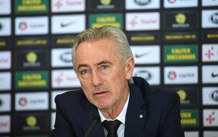 Van Marwijk mantiene la confianza en el ´eterno´ Tim Cahill Van Marwijk mantiene la confianza en el ´eterno´ Tim Cahill