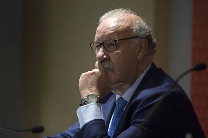 Del Bosque: "España tiene todas las condiciones para hacer un gran Mundial" Del Bosque: "España tiene todas las condiciones para hacer un gran Mundial"