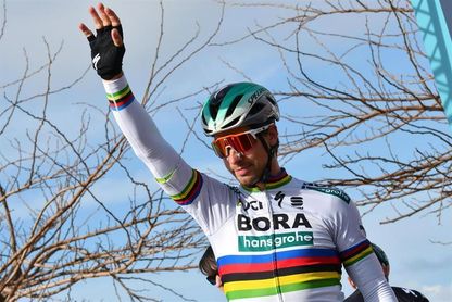 Sagan, Avermaet y Gilbert por el monumento de Flandes, Valverde ausente Sagan, Avermaet y Gilbert por el monumento de Flandes, Valverde ausente