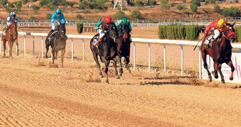 Imagen del sprint final de una de las carreras disputadas del Gran Hipódromo de Andalucía. Imagen del sprint final de una de las carreras disputadas del Gran Hipódromo de Andalucía.