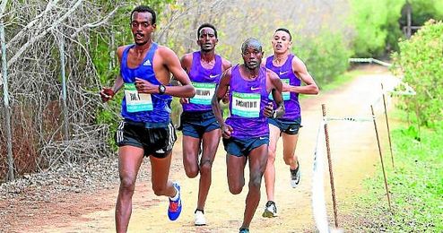 La RFEA ha distinguido a la carrera como el 2º mejor cross nacional del año. La RFEA ha distinguido a la carrera como el 2º mejor cross nacional del año.
