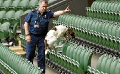 Un perro policía olfatea en busca de explosivos en las instalaciones de Wimbledon. Un perro policía olfatea en busca de explosivos en las instalaciones de Wimbledon.