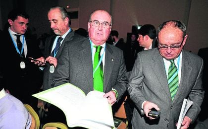 Castaño tiene que decidir su voto. Castaño tiene que decidir su voto.