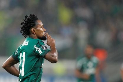 Zé Roberto se incorporará a la comisión técnica del Palmeiras a partir de 2018 Zé Roberto se incorporará a la comisión técnica del Palmeiras a partir de 2018