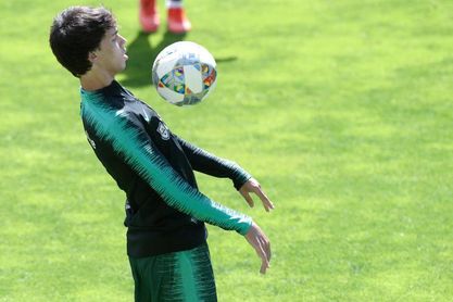 El Benfica empieza la pretemporada sin João Félix El Benfica empieza la pretemporada sin João Félix