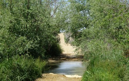 'Guillena de Ruta' recorre el Camino de Santiago 'Guillena de Ruta' recorre el Camino de Santiago