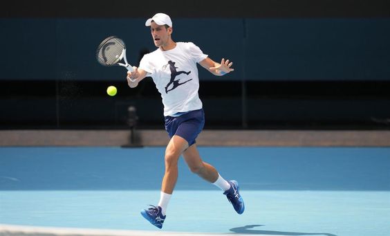 Revilla lamenta el "conglomerado" formado para apoyar a Djokovic Revilla lamenta el "conglomerado" formado para apoyar a Djokovic